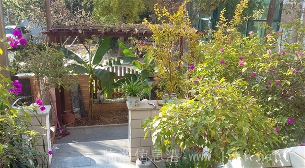 出售奧林匹克花園別墅