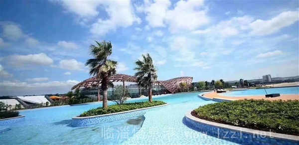 廈門灣首付10萬起38至60平買房落戶高考低分多個選擇隨看