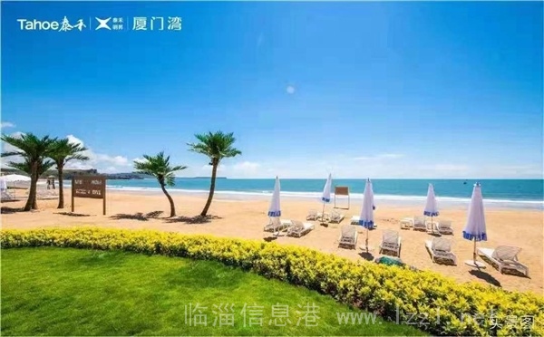 廈門灣首付10萬起38至60平買房落戶高考低分多個選擇隨看