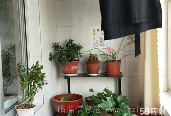 石化六中學(xué)區(qū)房路虹100平3室2廳通透戶型滿五唯一住房