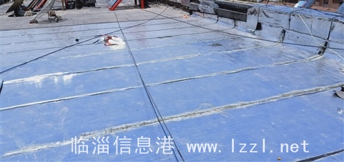 臨淄防水電話13869300112